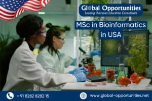 MSc in Bioinformatics in USA